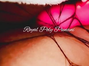 Royal Poly Punani ~ Pussy Play