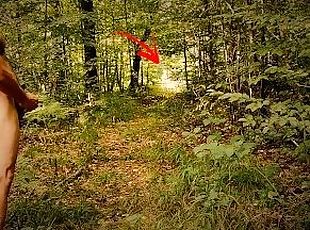 Completely naked, on a forest path, flashing dick at cars.