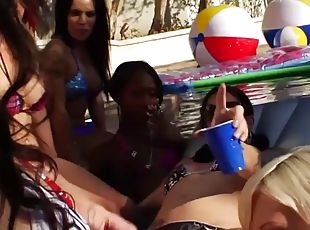 Shemale pool party with horny cock loving trannies