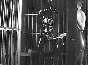 Legetøj, Bdsm, Slave, Europæisk, Britisk, Euro, Latex, Bondage, Elskerinde, Femidom