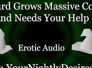 Wizard Master Grows Massive Horse Cock [Fantasy] [Cowgirl] [Blowjob] (Erotic Audio for Women)