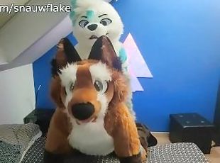 Matthew Fox is fucked bareback by Snauwflake the Seal ( Furry / Fursuit / Mursuit )