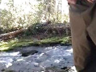 Stopped to take a piss under this cool bridge while going for a hike on Vancouver Island