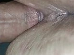 Fox Creampie BBW