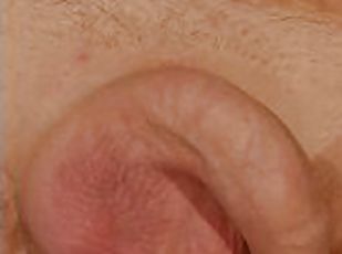 Uncut cock goes from soft to hard